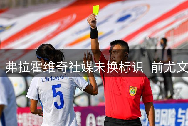 弗拉霍维奇社媒未换标识 前尤文9号仍保留DV9昵称